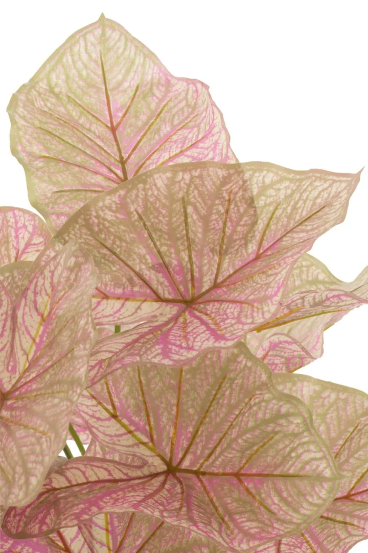 Pot Jise Stof Roze H57 cm met grote roze en crème bladeren, zachte decoratieve uitstraling
