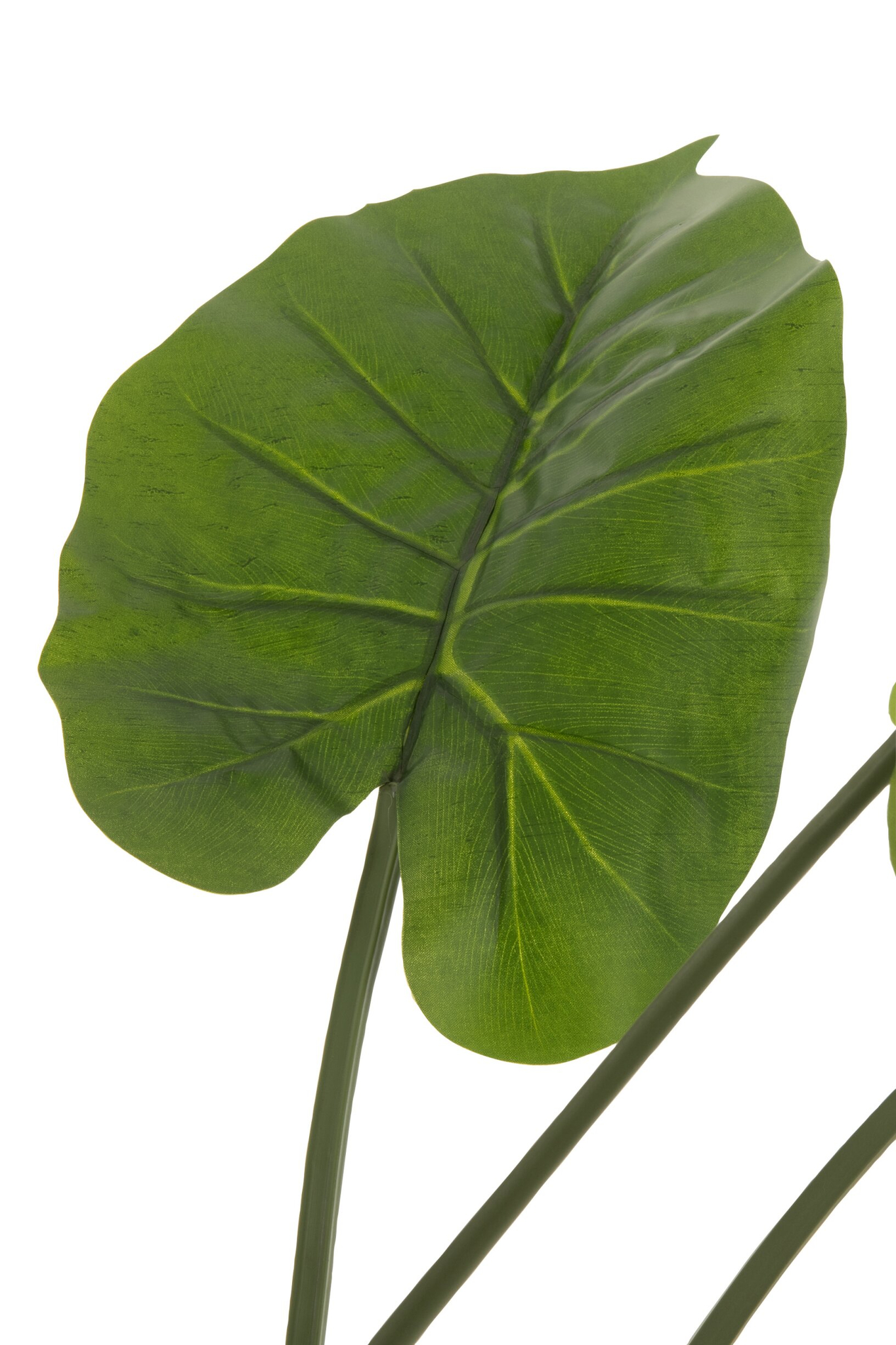 Pot Traurello Stof Groen H123 cm