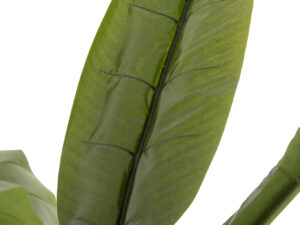 Woonaccessoire Skaumano Stof Groen