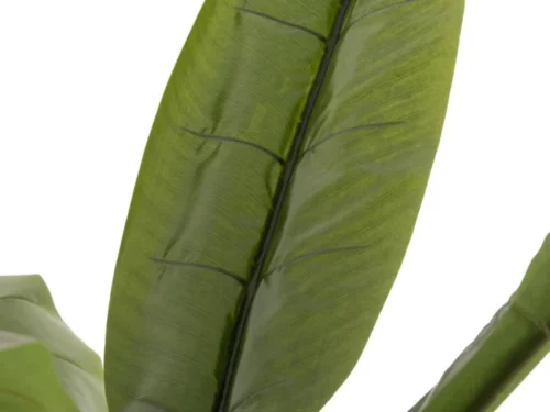 Skaumano groene banaanboom van stof met grote bladeren, natuurlijke look en decoratieve hoogte