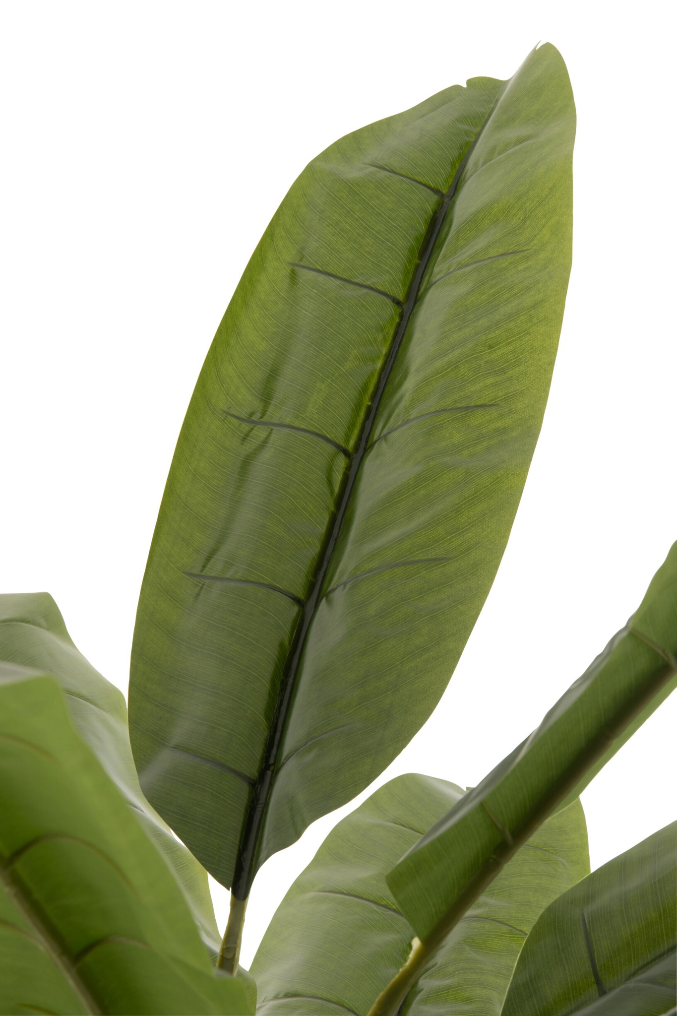 Woonaccessoire Skaumano Stof Groen