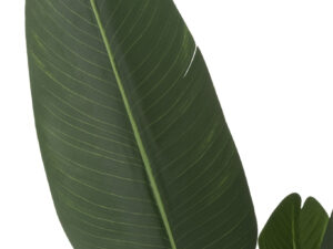 Kunstplant Klinel Stof Groen H165 cm
