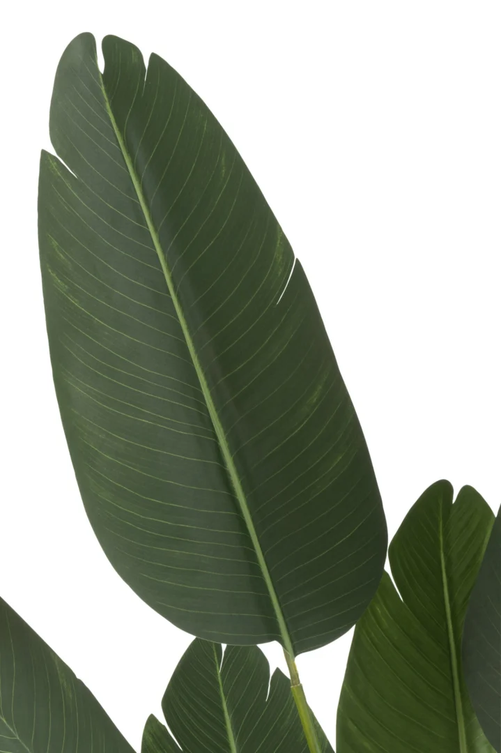 Kunstplant Klinel Stof Groen H165 cm met grote realistische bladeren en natuurlijke uitstraling