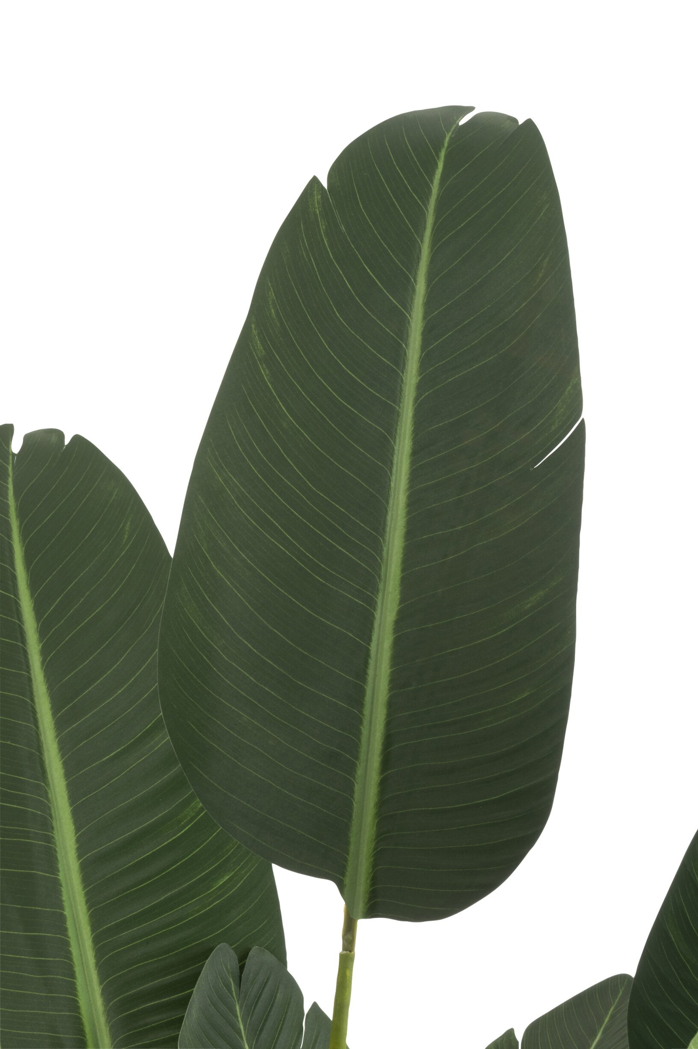 Kunstplant Kinsello Stof Groen H189 cm