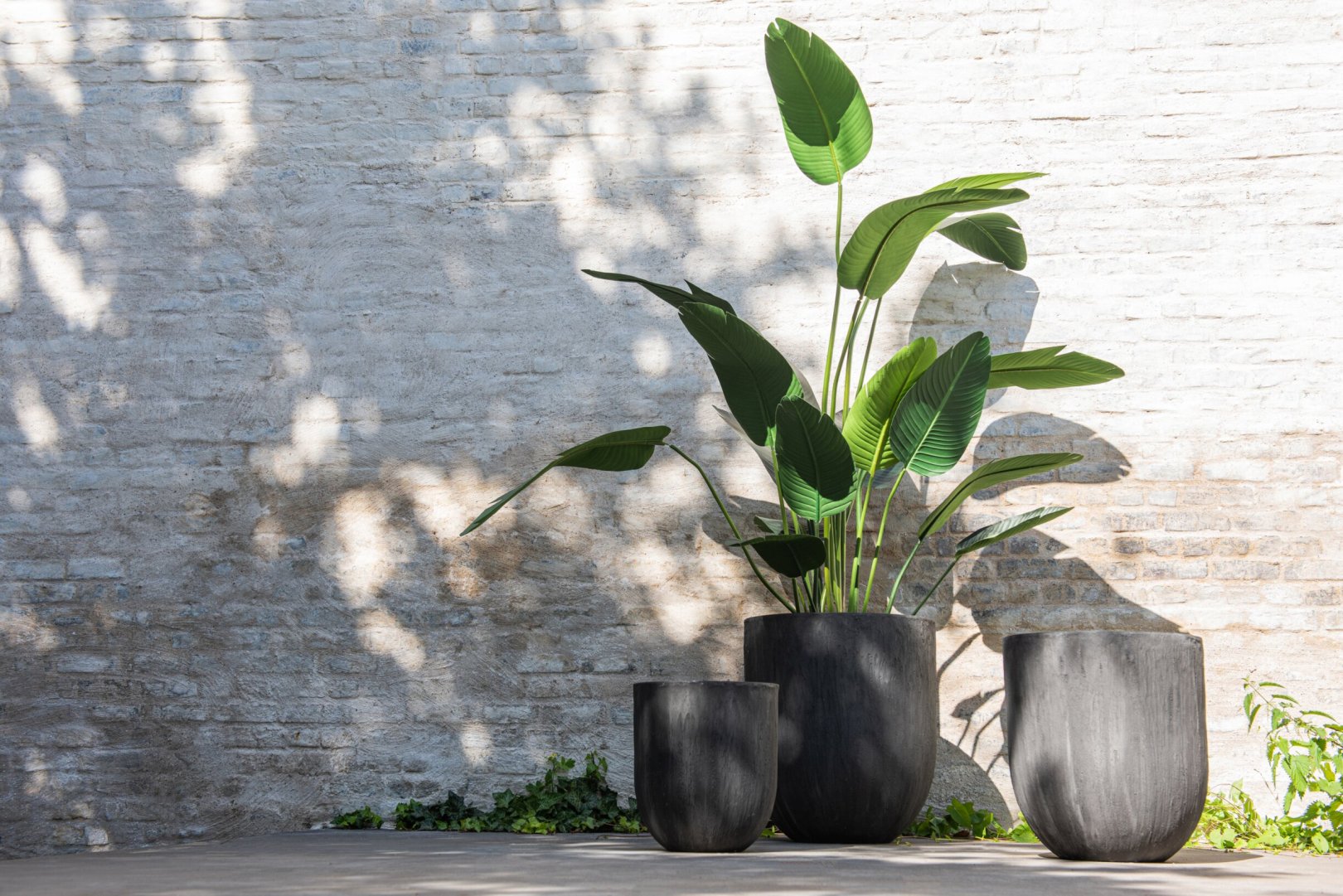 Kunstplant Kinsello Stof Groen H189 cm - Afbeelding 2