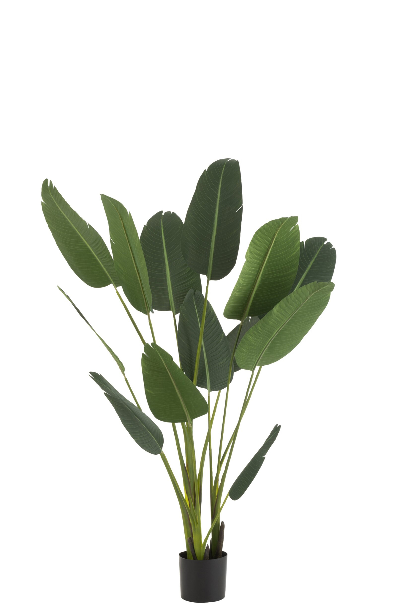 Kunstplant Kinsello Stof Groen H189 cm - Afbeelding 4