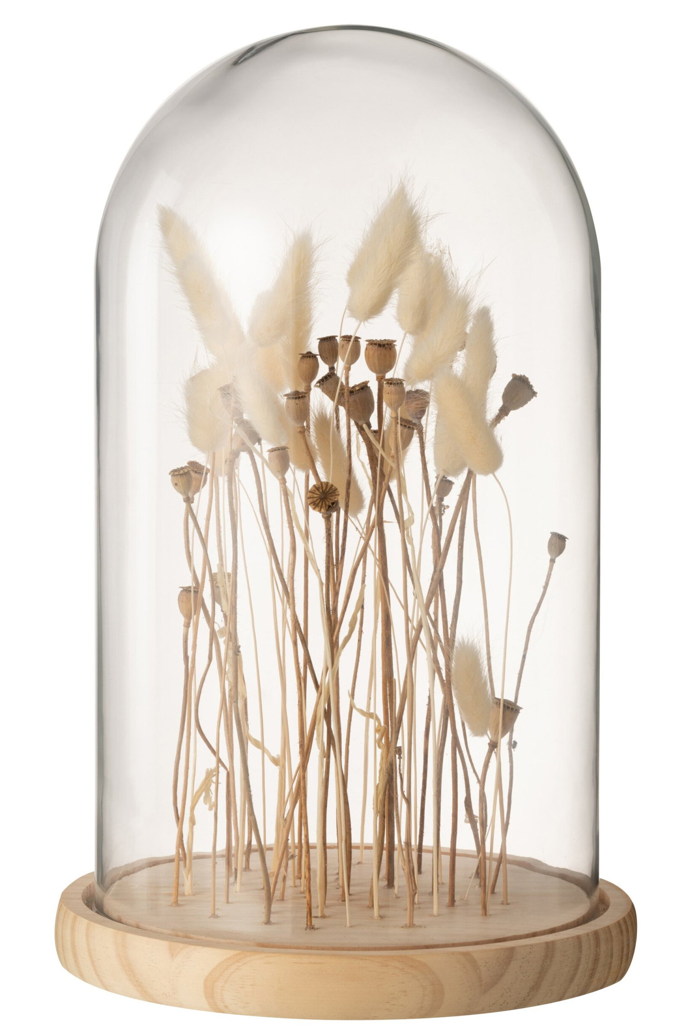 Droogbloemen Dannik Glas Transparant - Afbeelding 3