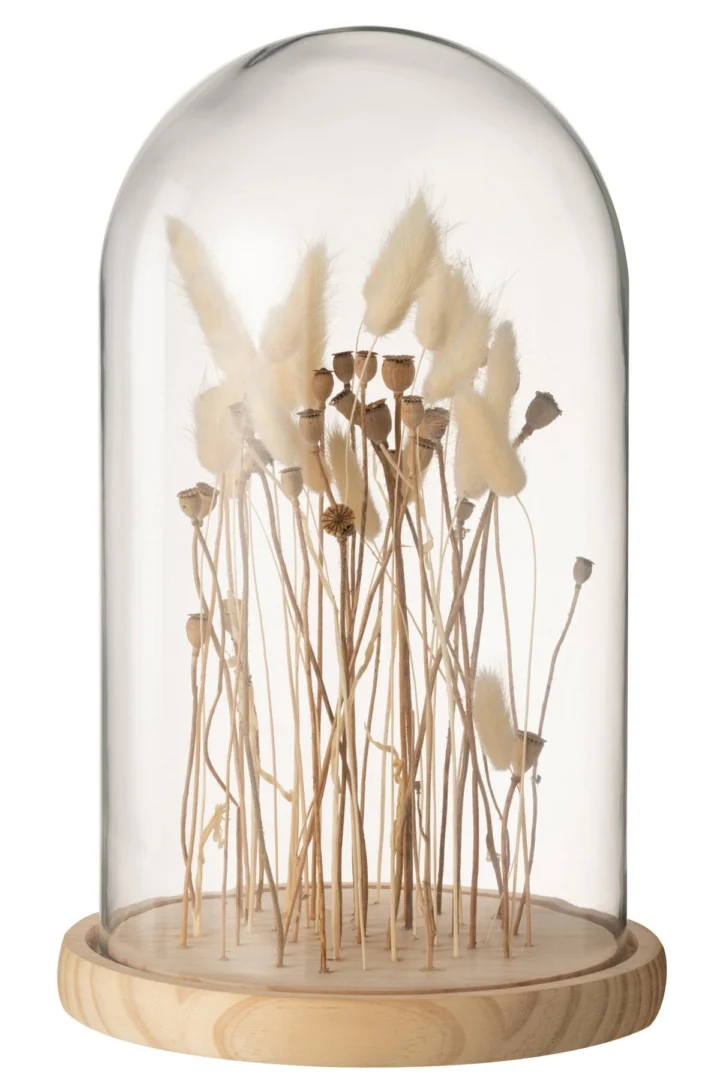 Droogbloemen Dannik Glas Transparant - Afbeelding 3
