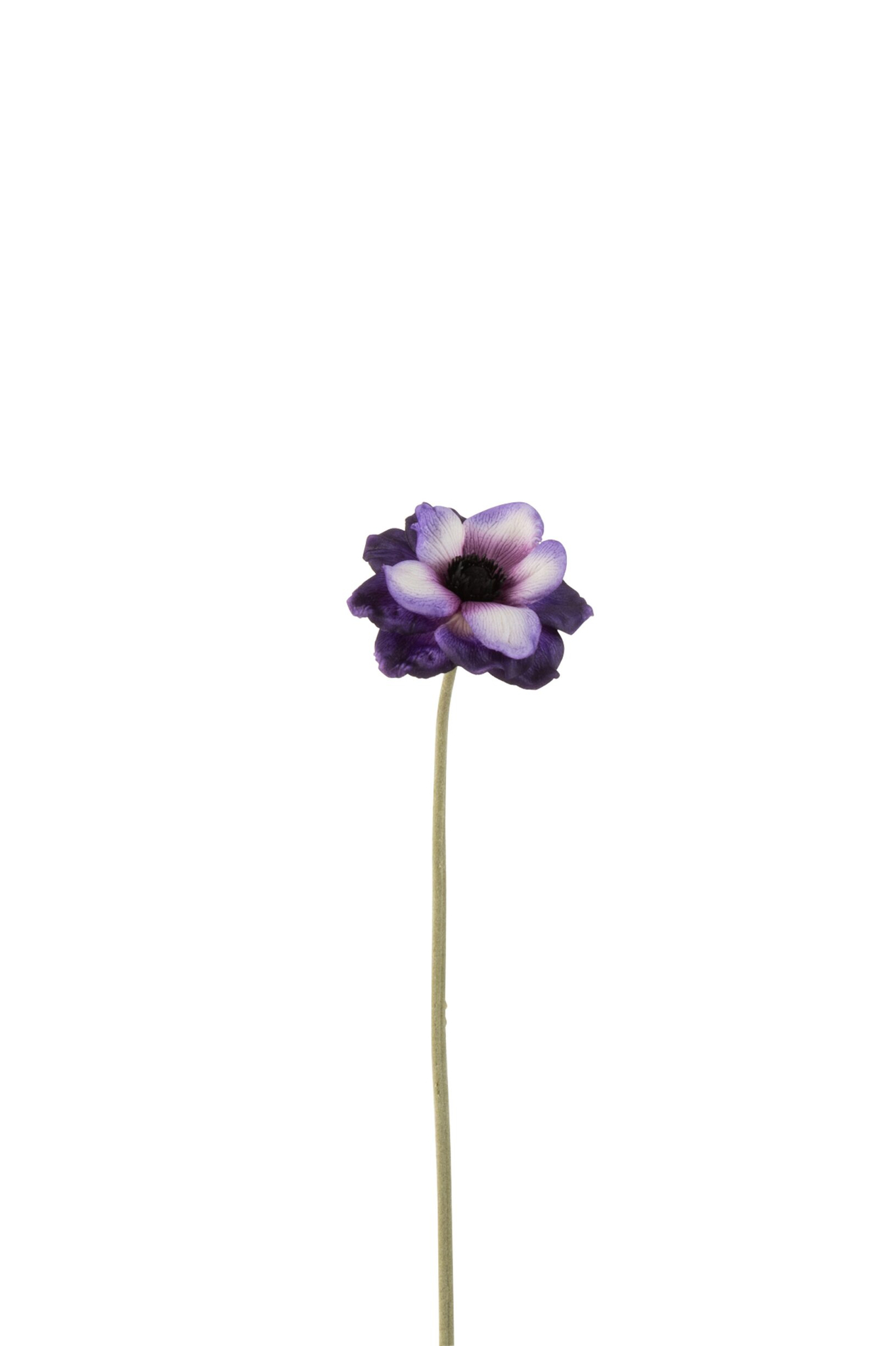 Kunstbloem Taurdin paars met witte accenten, lange steel en verfijnde anemoonlook