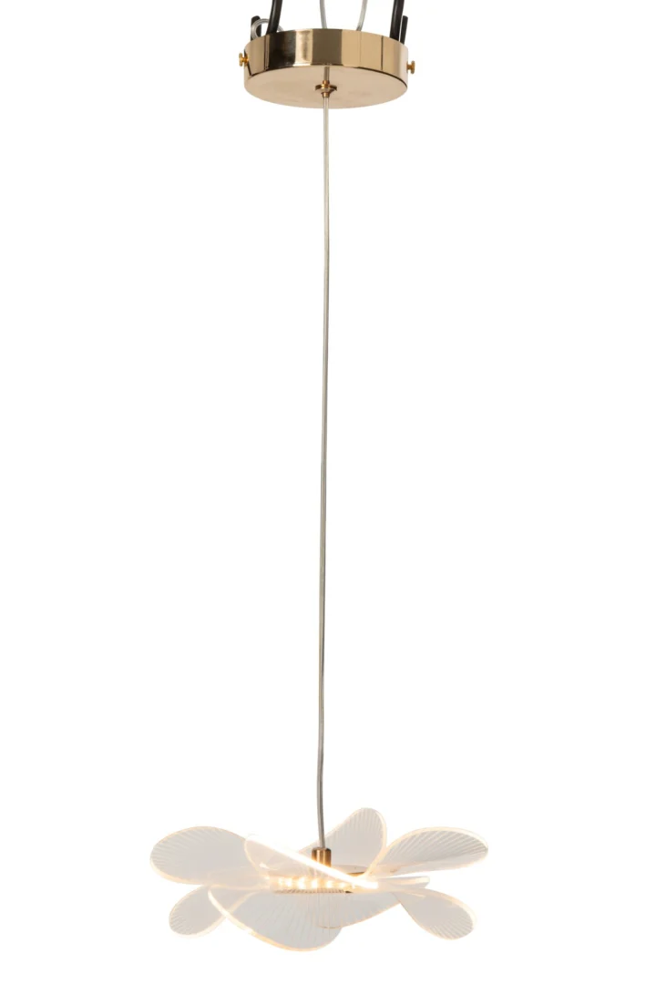 Plafondlamp Stiens Acryl in goud met lange kabel en elegante LED-verlichting met acryl bloemdesign