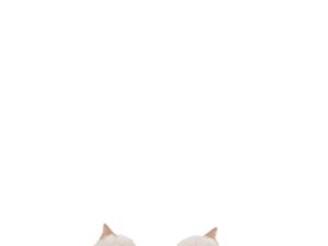Windlicht Proole Polyresin Roze H13,5 cm - Set van 2