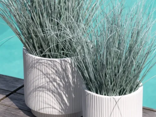 Pot Fammio PVC groen H70 cm met gegroefde afwerking, gevuld met siergras bij het zwembad recreaion setting