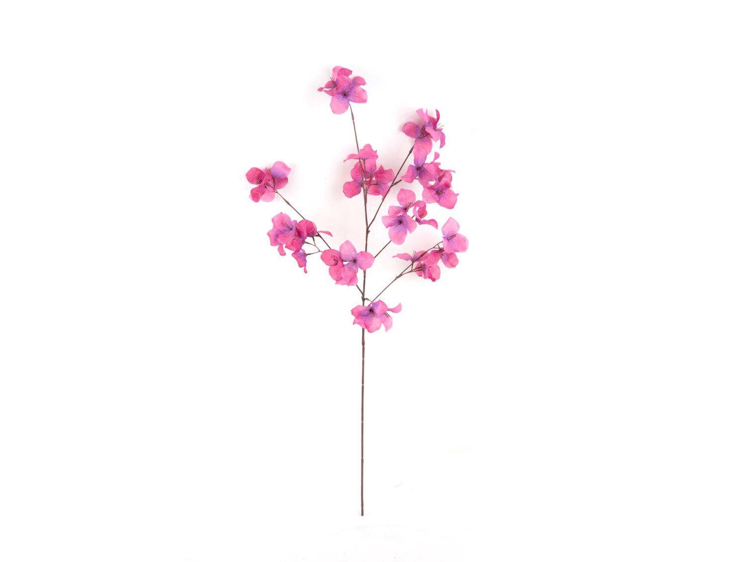 Kunstplant Ciestoro Fuchsia H86 cm