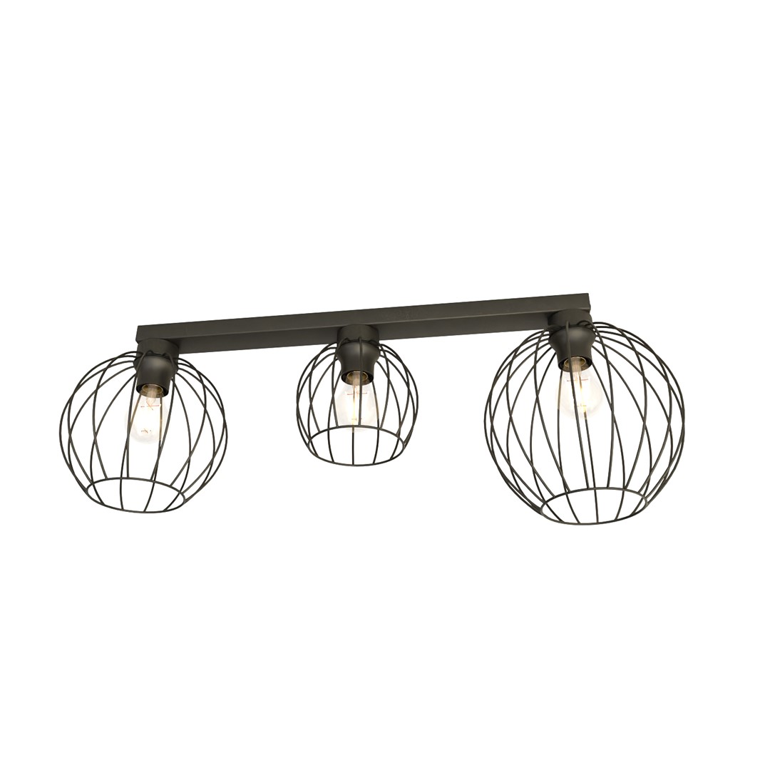 Plafondlamp Fansena Zwart Ø24 cm