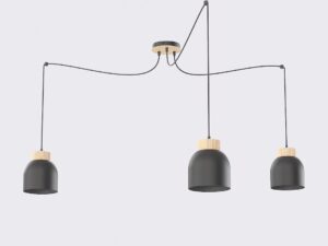 Hanglamp Braalvena Zwart