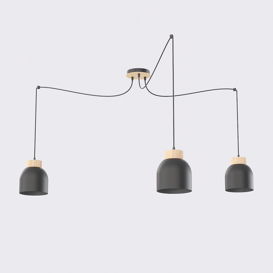 Hanglamp Braalvena Zwart