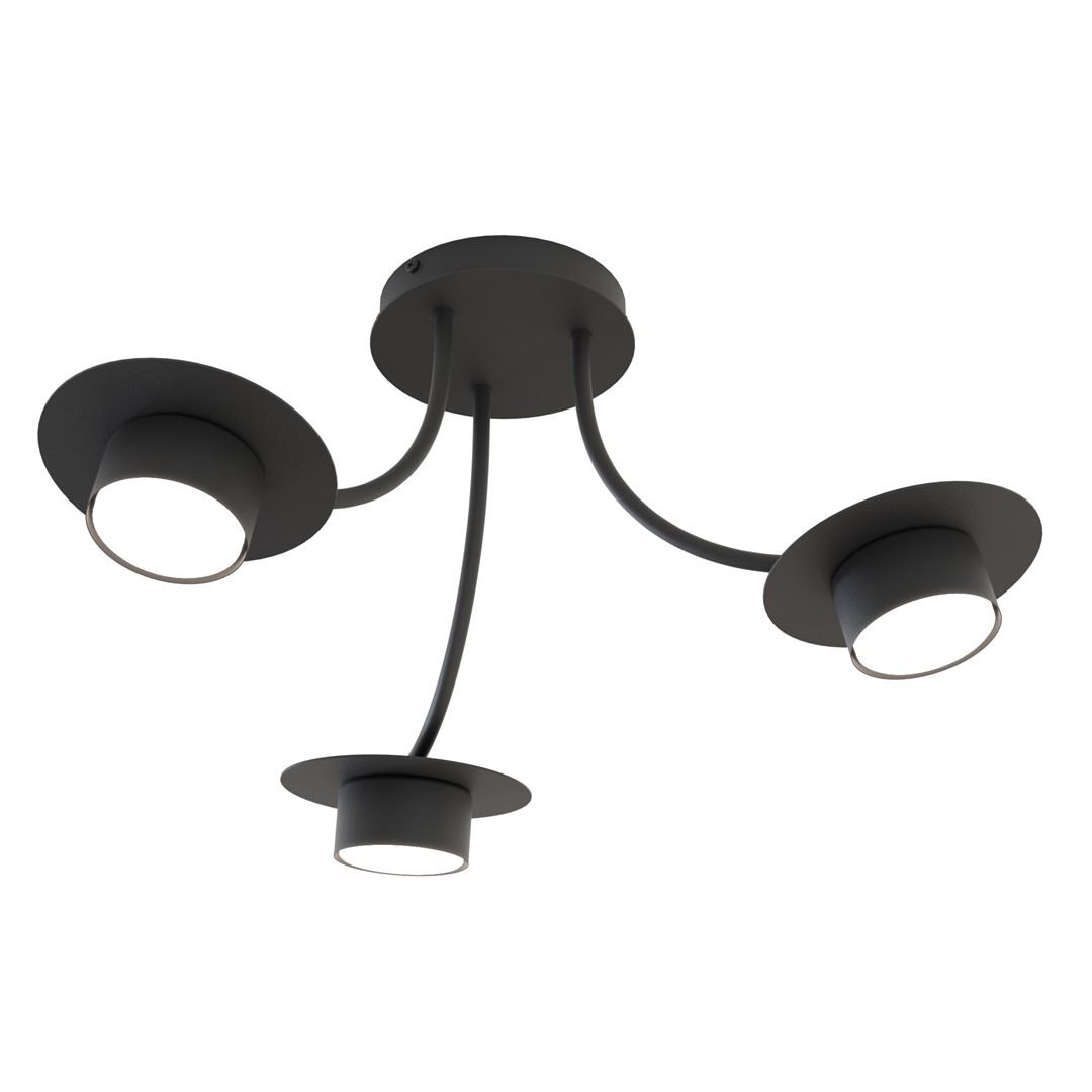 Plafondlamp Leisonte Zwart