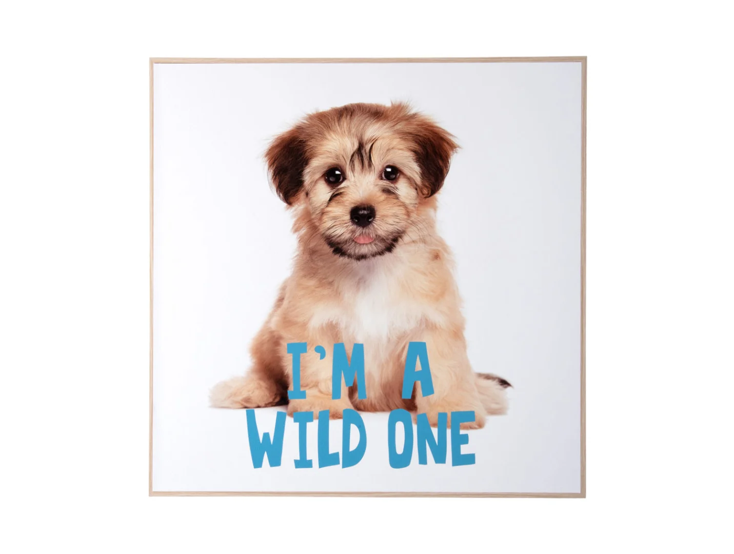 Wanddecoratie Prunsis Blauw met puppy en I’M A WILD ONE, vierkant 40x40 cm in multicolor MDF