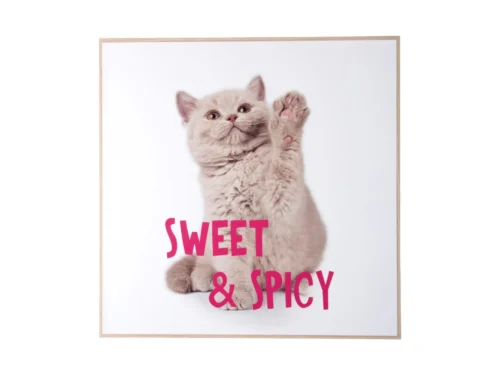 Wanddecoratie Zadia Helder Roze met kitten en Sweet & Spicy op vierkante MDF-houten lijst