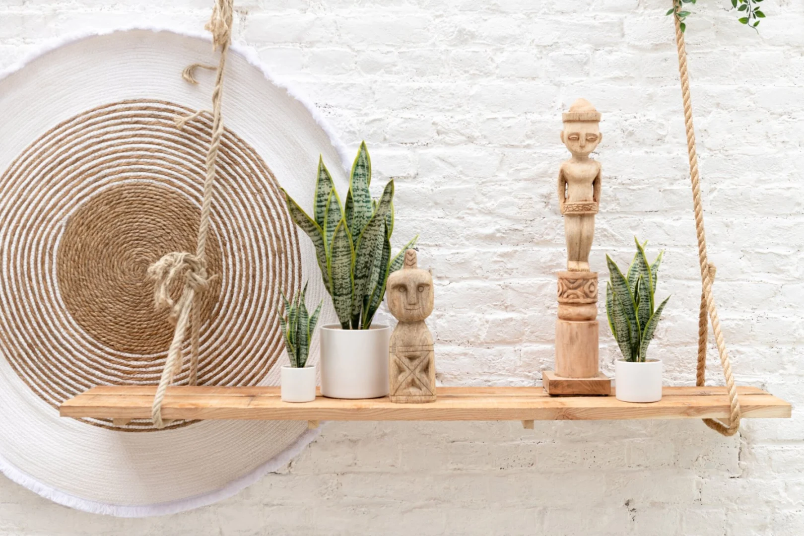 Skootand PVC groen pot H49 cm met slanke vorm, gevuld met sansevieria op een houten plank