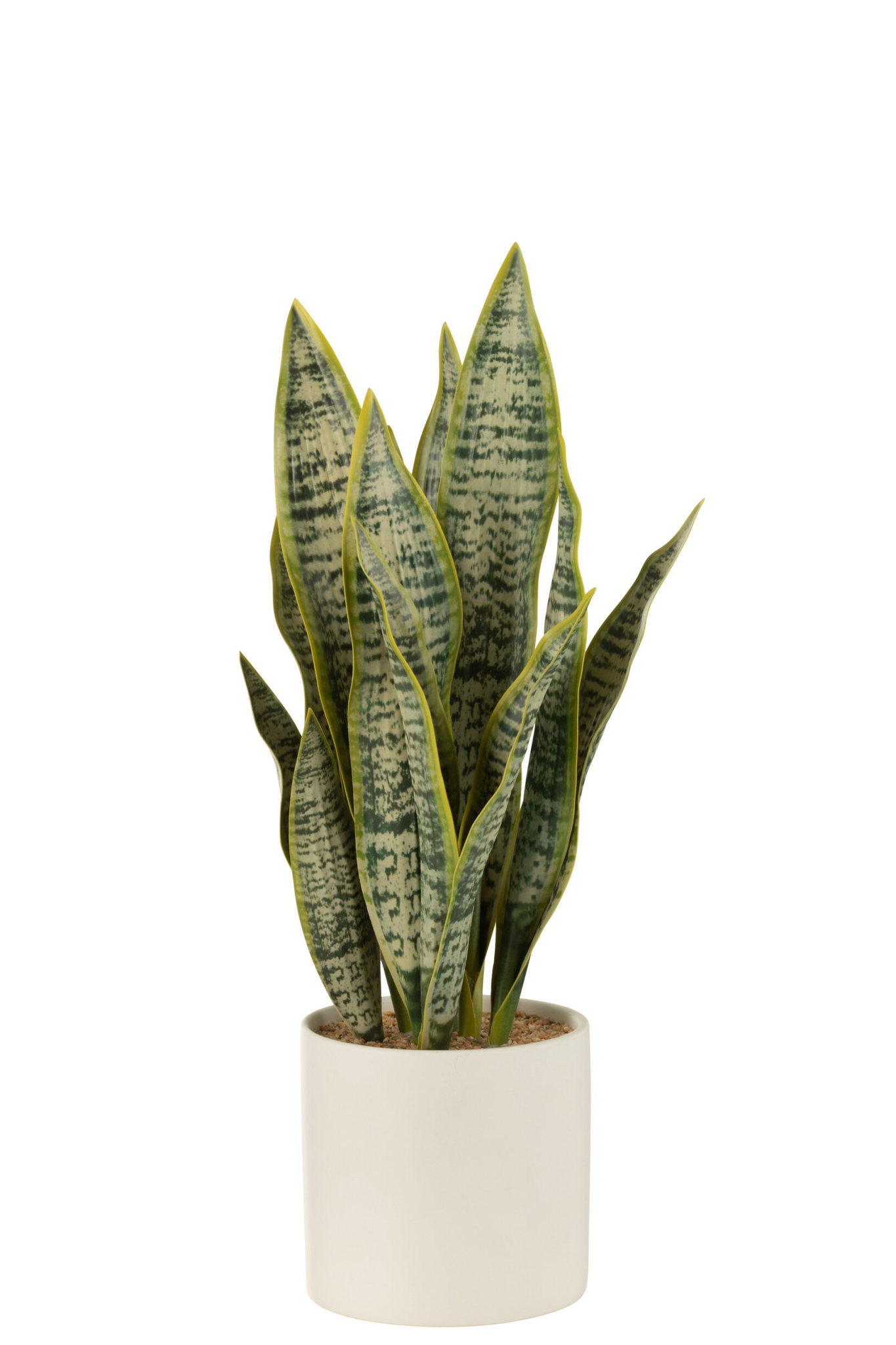 Pot Skootand Pvc Groen H49 cm - Afbeelding 2