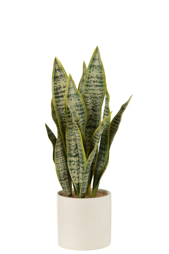 Pot Skootand Pvc Groen H49 cm - Afbeelding 2