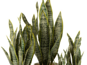 Pot Fleessund Pvc Groen H59 cm