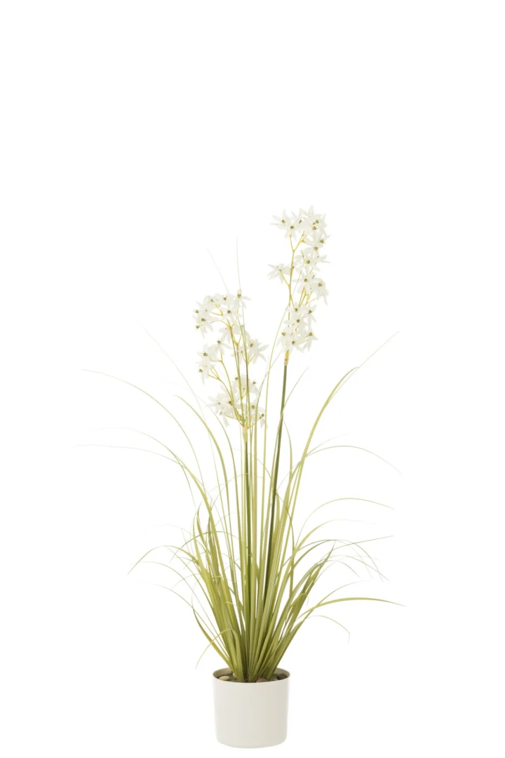 Pot Ziemonte PVC wit H116 cm met slanke witte sierpot en fijne grassprieten met witte bloesems