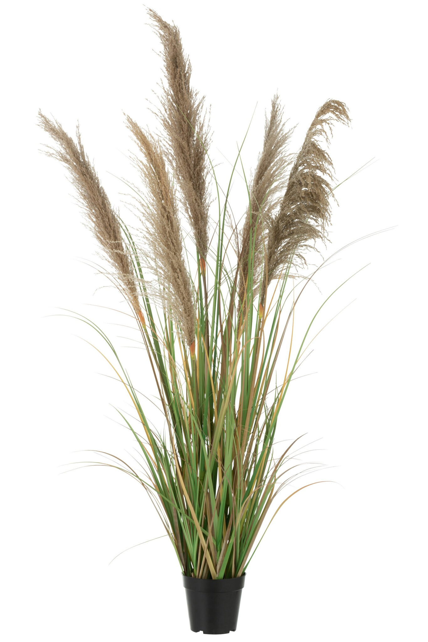 Droogbloemen Bordis Pvc Groen - Afbeelding 3