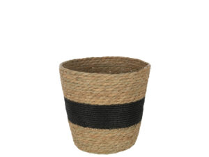Mand Prultol Gras Naturel