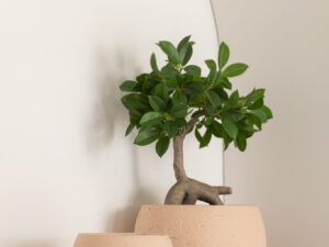 Bloempot Mastello Keramiek Beige H14 cm