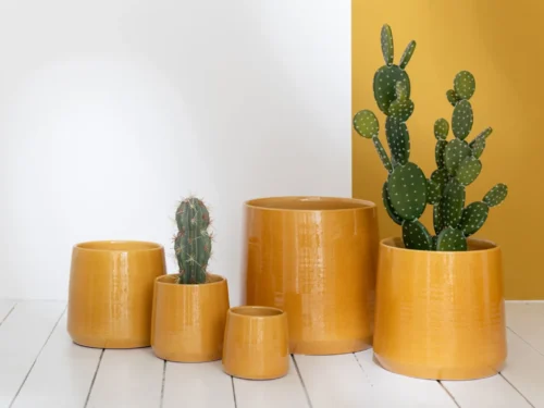 Bloempot Breevura keramiek geel met ronde vorm, glanzende afwerking en cactusplantje in warme styling