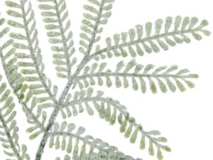 Kunsttak Poosar Kunststof Groen