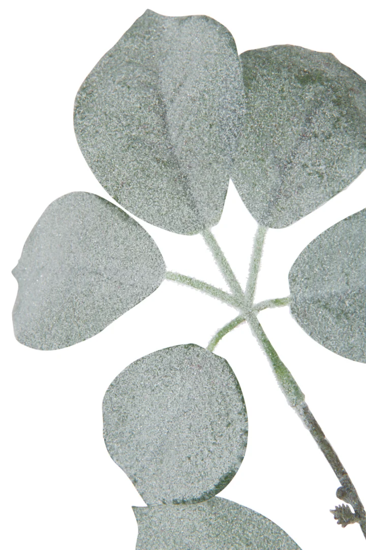 Kunsttak Dukek groene schefflera kunsttak met zachte flocklaag en volle bladeren