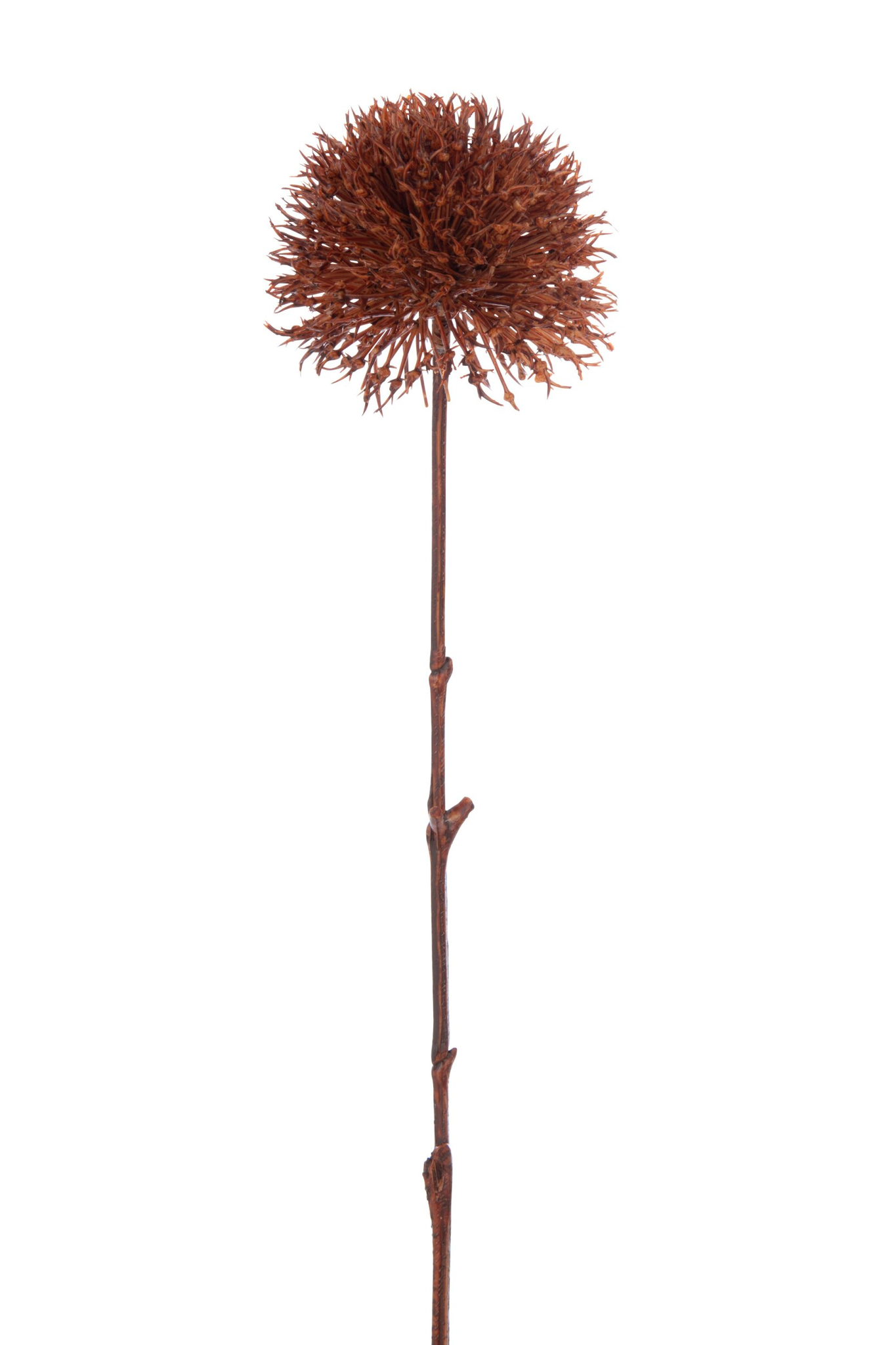 Kunstbloem Malmo kunststof oranje, slanke Allium-kunstbloem met warme roestkleur en lange steel