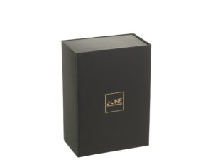 Cadeaubox Gaannesta Papier Zwart