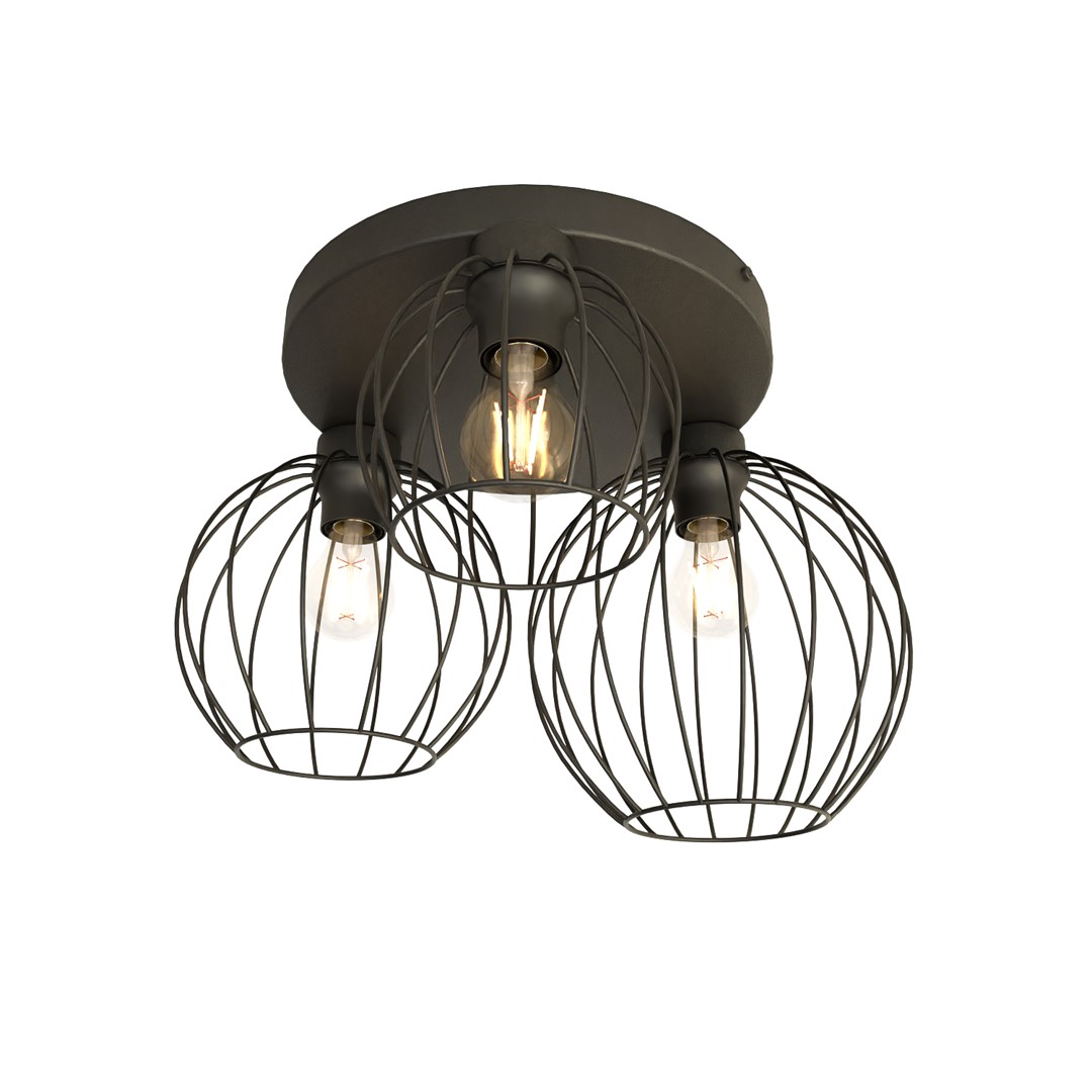 Plafondlamp Pamplona Zwart Ø24 cm