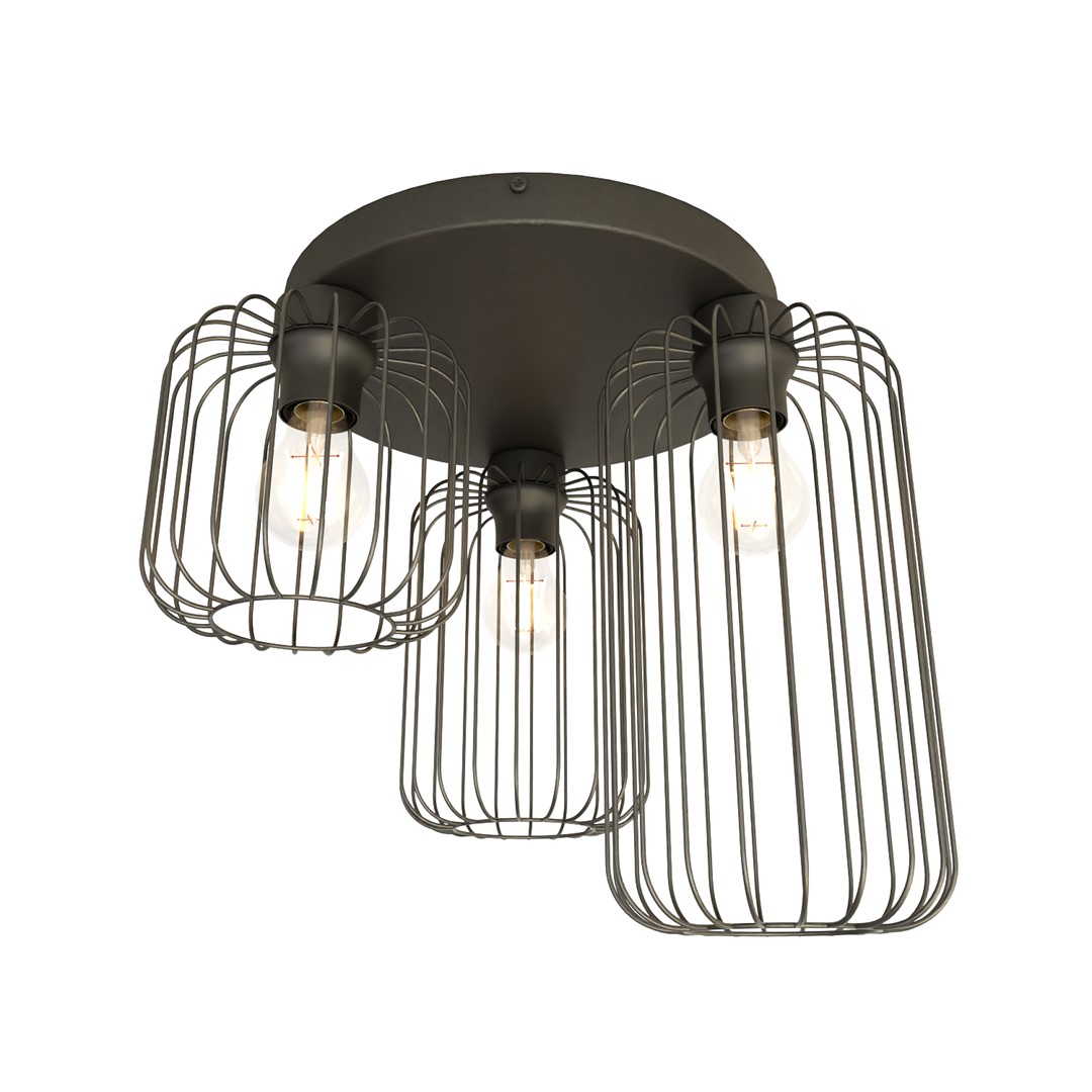 Plafondlamp Prauronte Zwart Ø16 cm