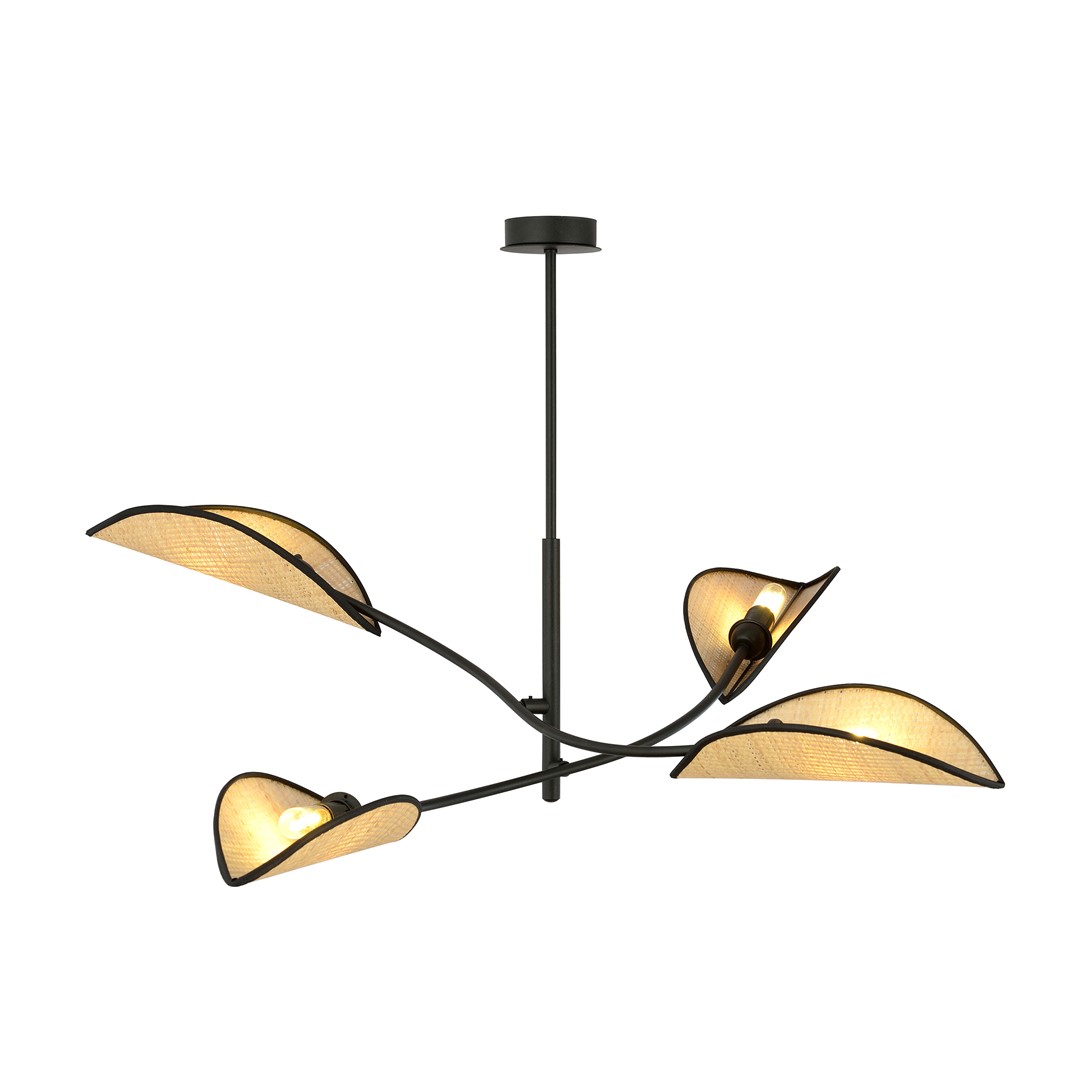 Plafondlamp Heilla Zwart Ø12 cm
