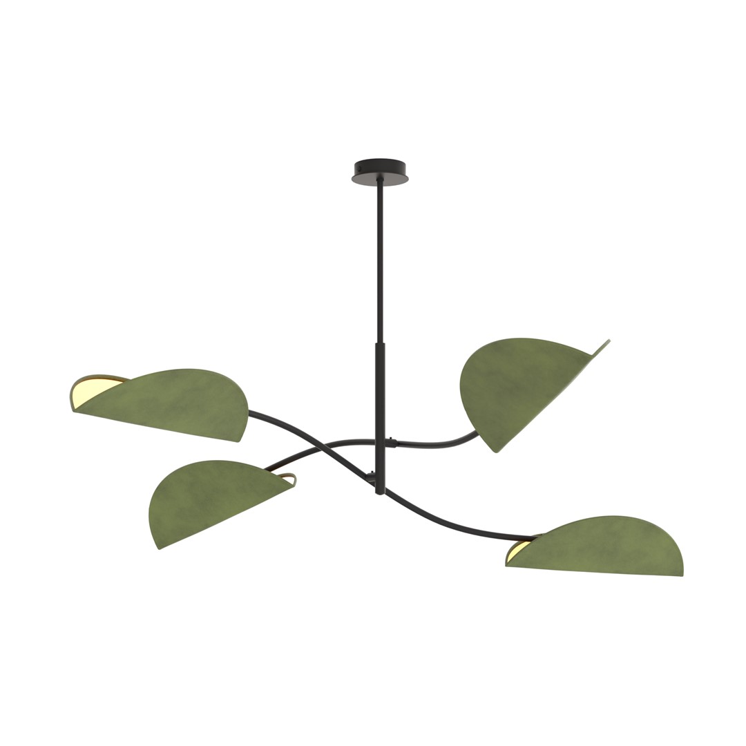 Plafondlamp Peeskang Zwart