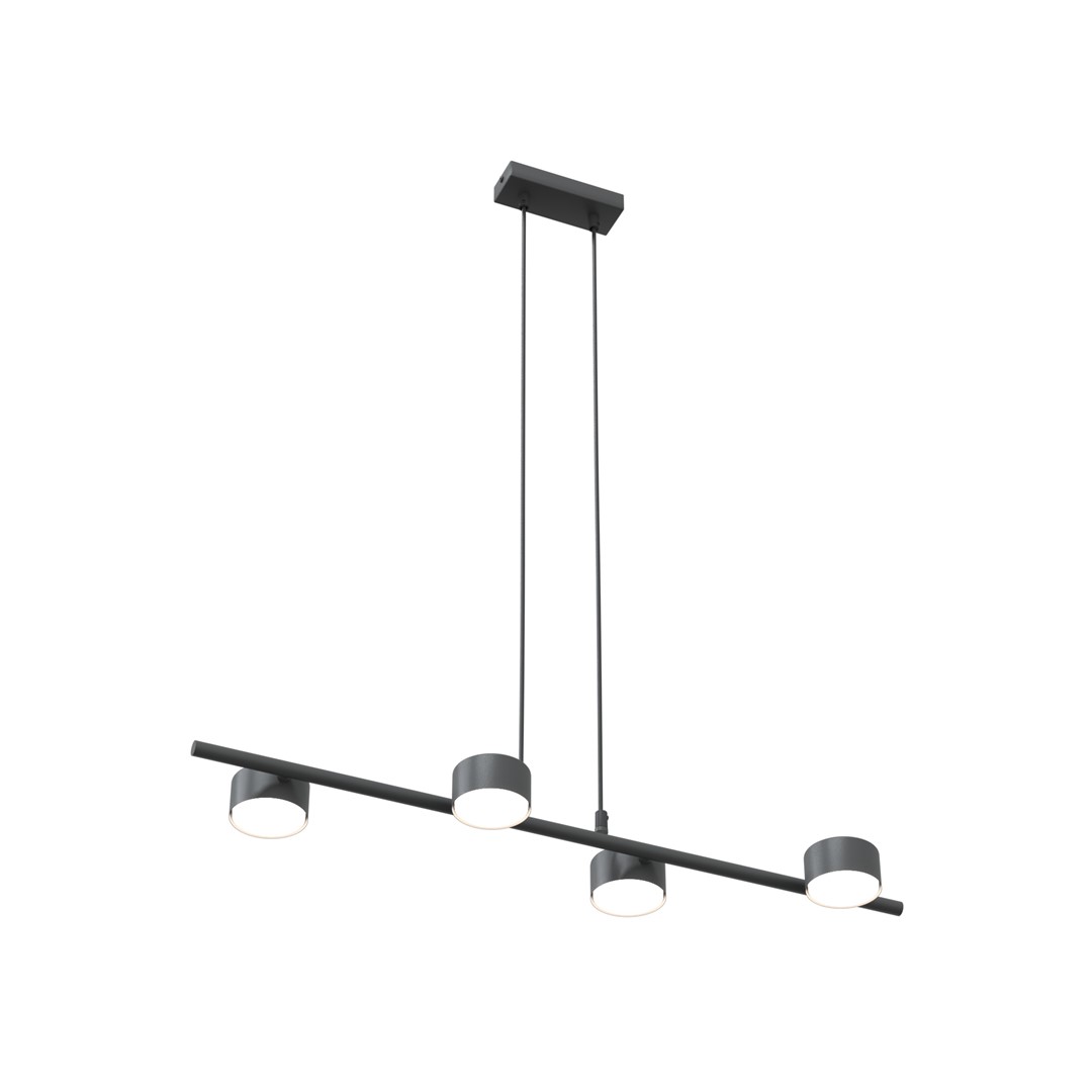 Hanglamp Broomano Zwart