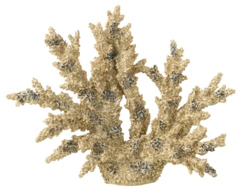 Pelura polyresin goud woonaccessoire in koraalvorm, decoratief en opvallend op een witte achtergrond