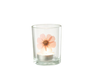Kunstbloem Steirnena Glas Meerkleurig