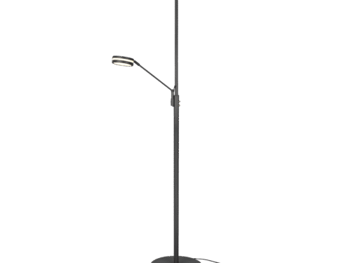 Vloerlamp Treiltan antraciet, 181 cm, metalen design met verstelbare LED-lichtbron en moderne uitstraling