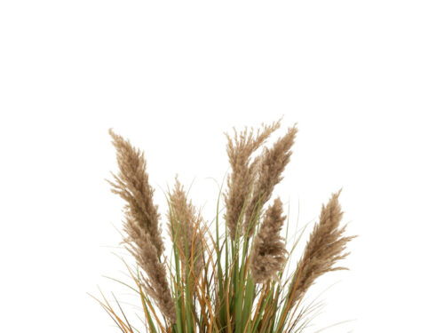 Droogbloemen Leekang PVC groen en beige, 7 halmen in pot met pampasgras-look voor een natuurlijke sfeer