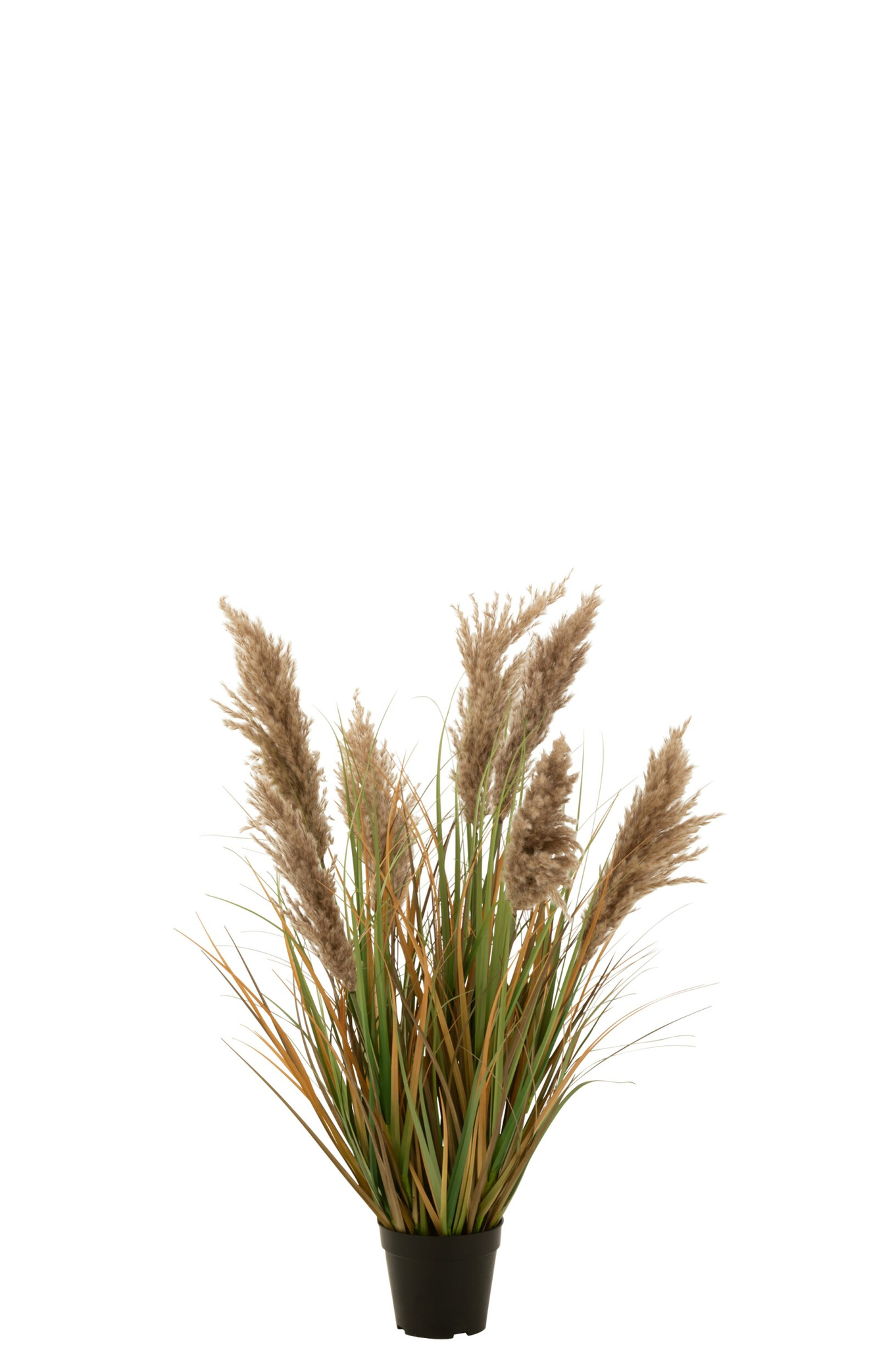 Droogbloemen Leekang Pvc Groen