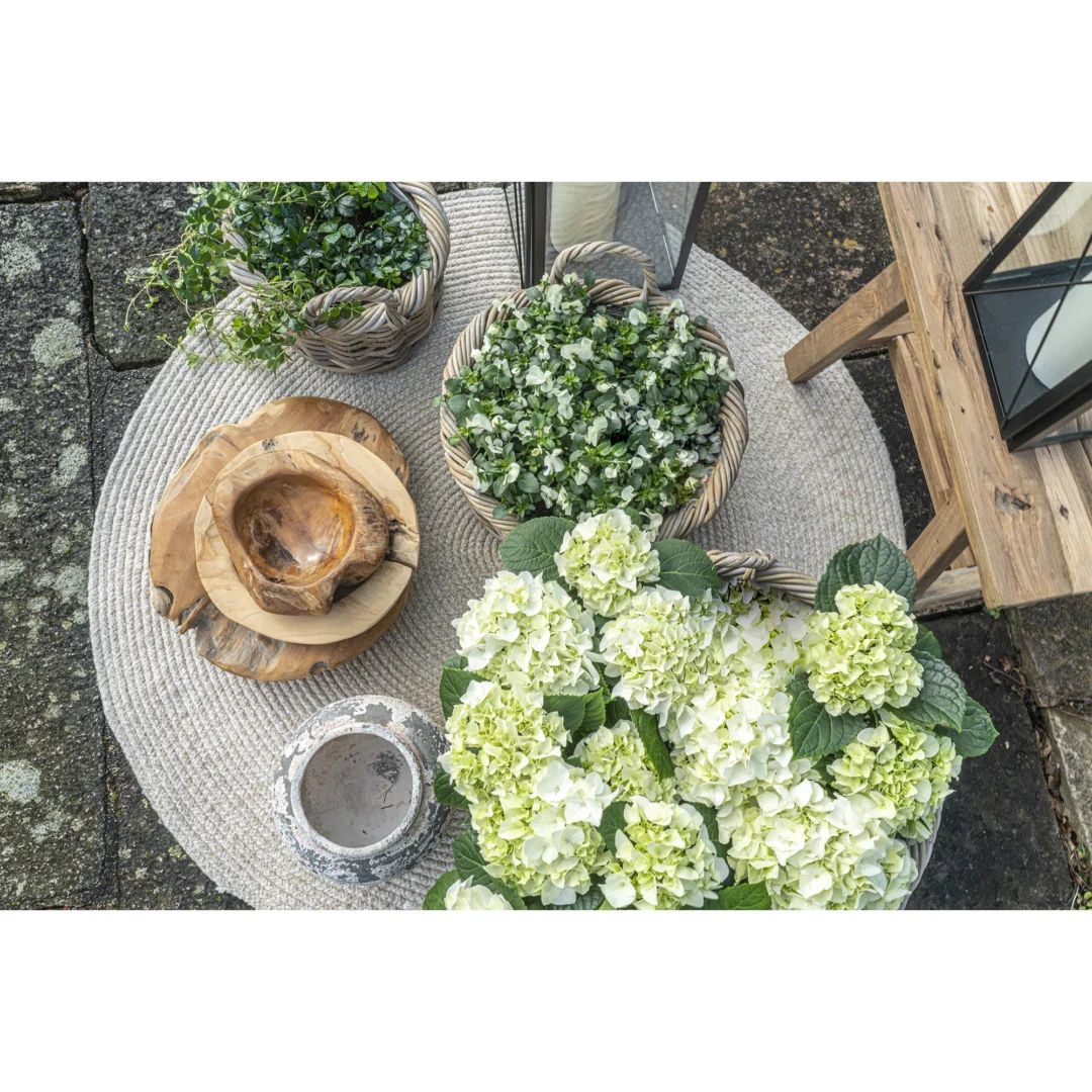 Mand Kaavun Rotan Naturel - Set van 3 - Afbeelding 6