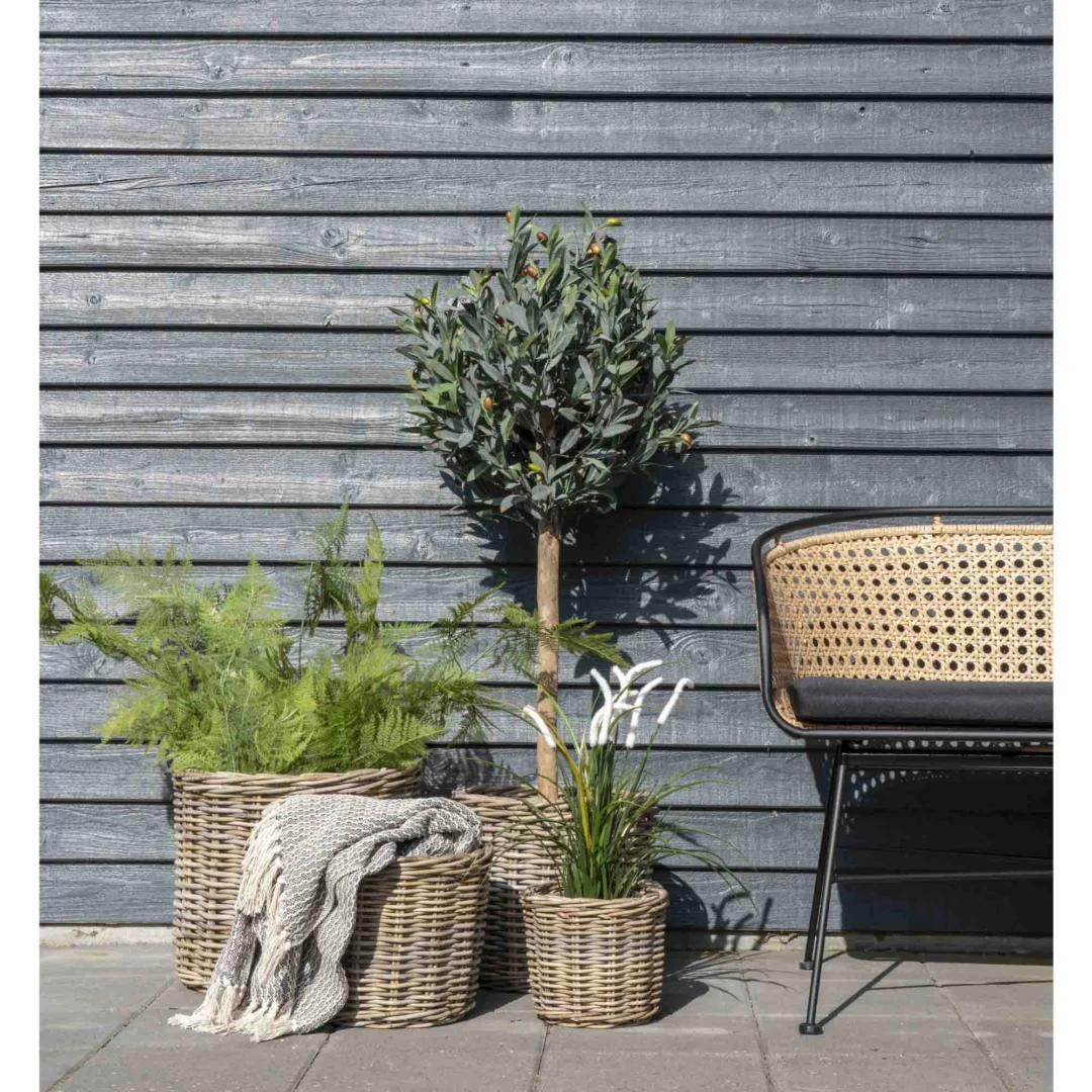 Mand Duntaro naturel hout hout - Afbeelding 3