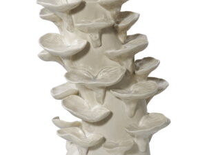 Decoratie Medora Keramiek Beige