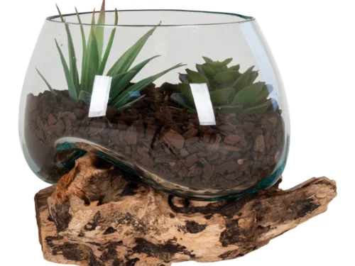 Decoratie Leeds teak naturel met glazen terrarium en houten voet, gevuld met groene planten